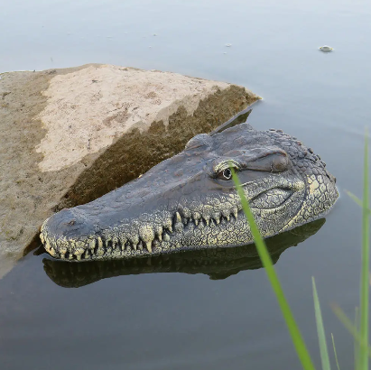 Crocodile Alligator Head Electric RC Boat With 2.4G Remote Control Gator Croc Simulation in action