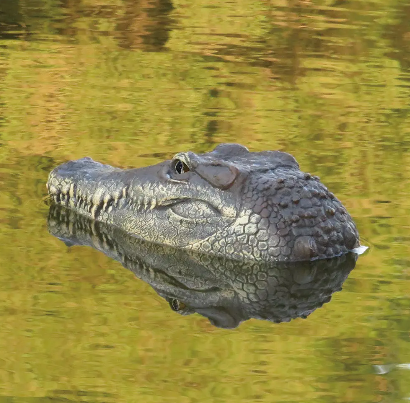 Crocodile Alligator Head Electric RC Boat With 2.4G Remote Control Gator Croc Simulation in action