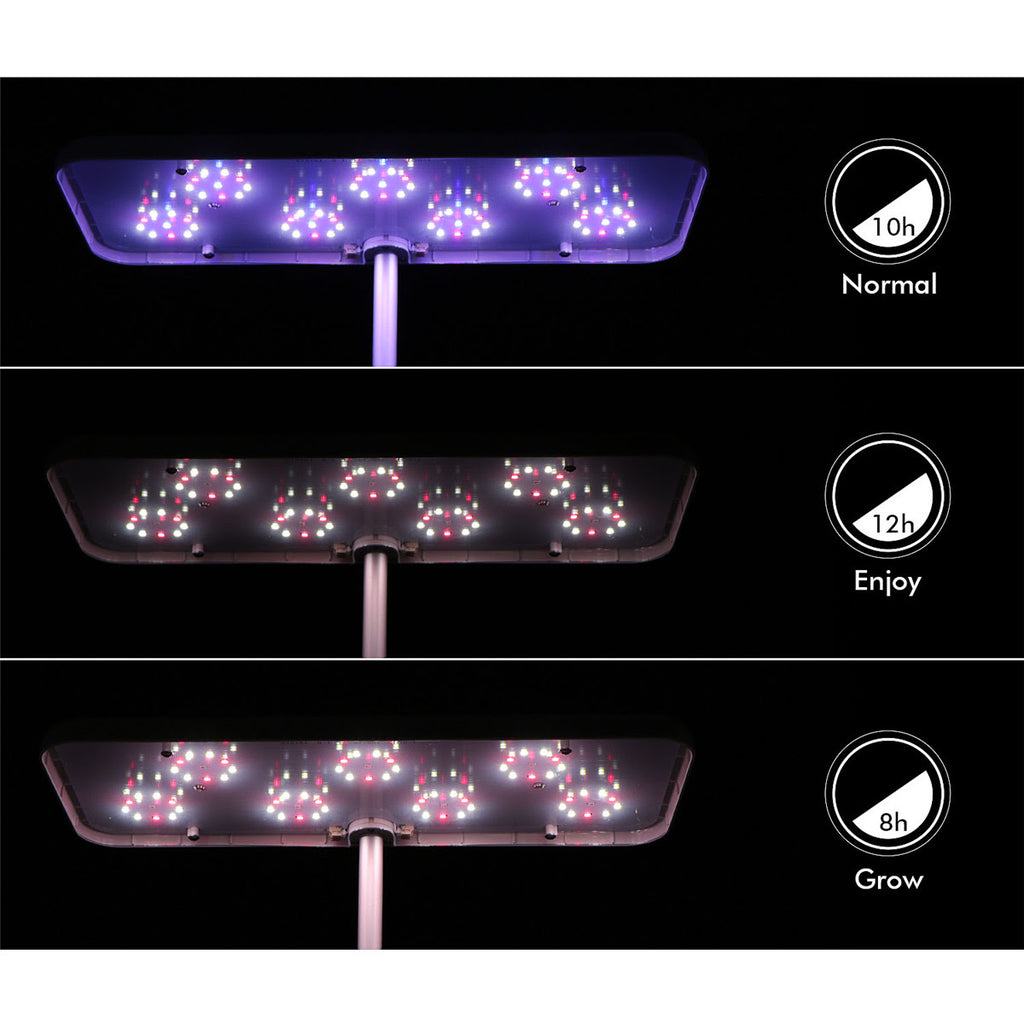 Light Modes Of Indoor Hydroponics LED Grow Light  Countertop Garden For Plants Herbs Flowers Seedling Cultivation