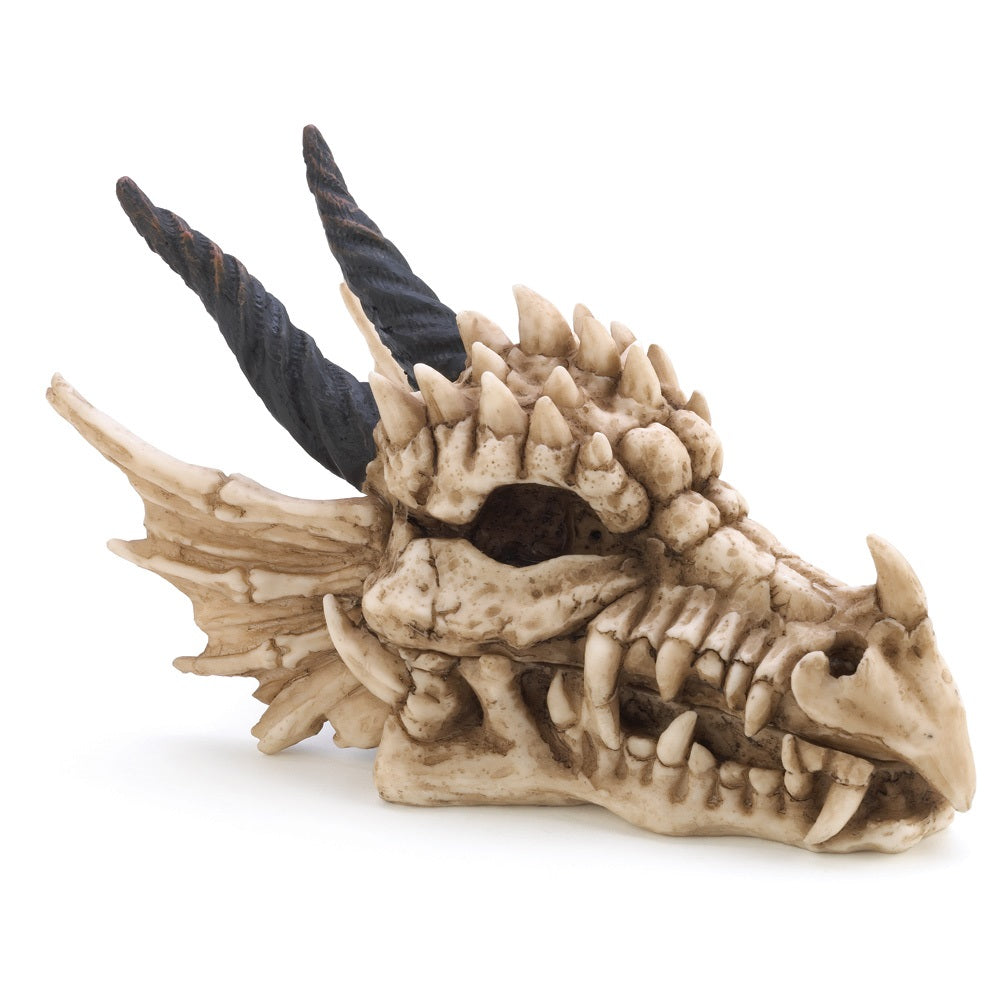 Dragon Skull Treasure Box