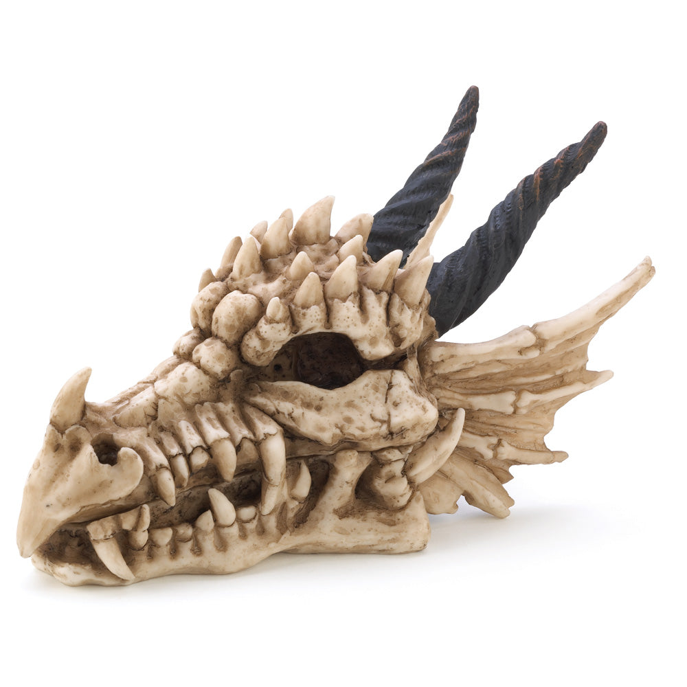 Dragon's Lair Dragon Skull Treasure Box